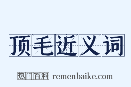 顶毛近义词是什么意思的图片